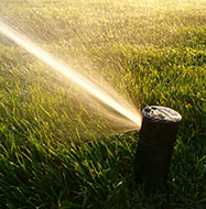 lawn sprinklers