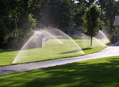 lawn sprinklers